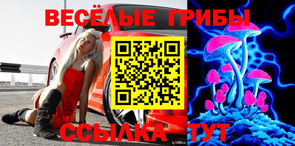 Костомукша  Галлюциногенные грибы GOLDEN TEACHER  где купить наркоту  Вход с VPN 